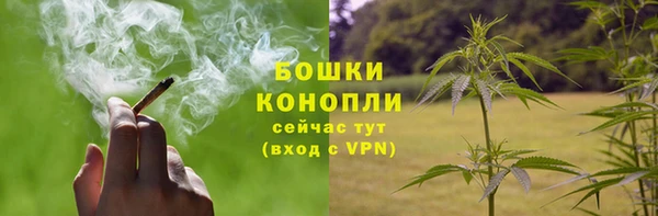 шишки Верхний Тагил