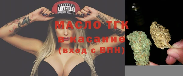 шишки Верхний Тагил