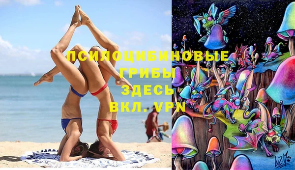 шишки Верхний Тагил