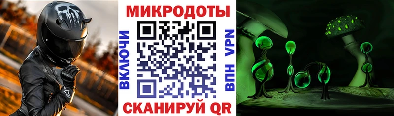 Псилоцибиновые грибы прущие грибы закладка Грязовец