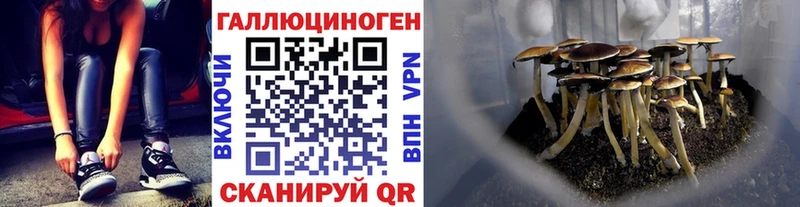 Псилоцибиновые грибы MAGIC MUSHROOMS Грязовец